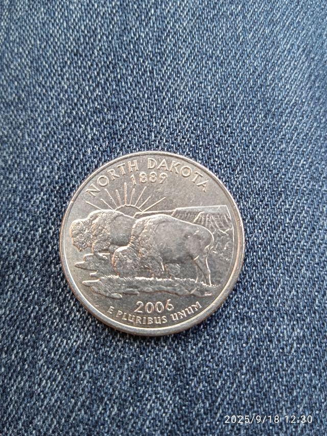 Lote de 5 Monedas Quarter Dollar USA