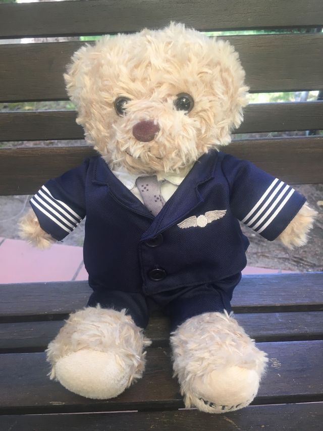 Osito Teddy Bear Piloto