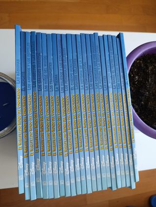Enciclopedia Disney en perfecto estado.

