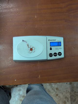 Colgante Flor Plata y Ámbar