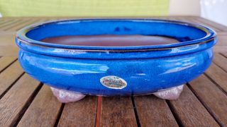 Maceta Bonsái Cerámica Azul 20x16.7x6.4
