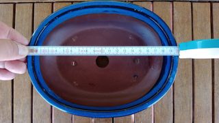 Maceta Bonsái Cerámica Azul 20x16.7x6.4