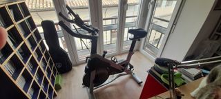 Bicicleta Estática LABGREY Volante 15 KG