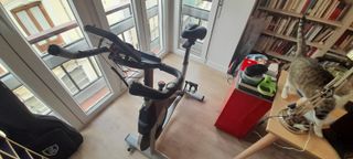 Bicicleta Estática LABGREY Volante 15 KG