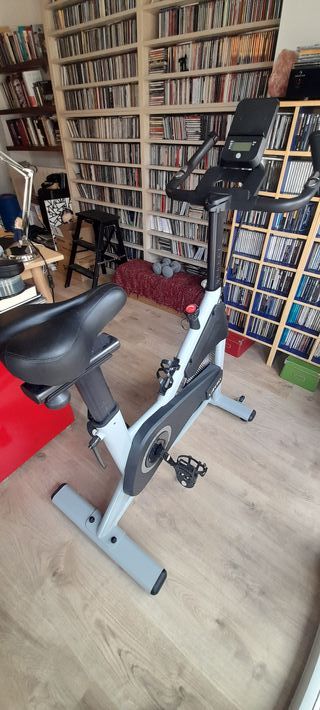 Bicicleta Estática LABGREY Volante 15 KG