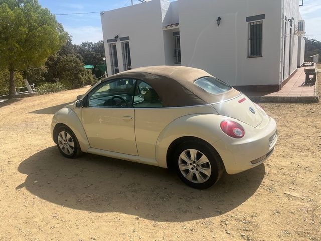 Volkswagen Beetle 2007