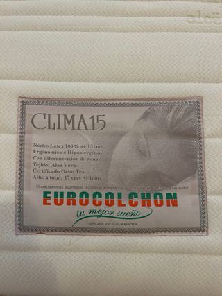 Cama articulada con colchón