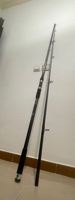 Caña Carpfishing 12' 3LB