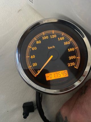 Harley Davidson Cuenta km/h que marca 17.545km 