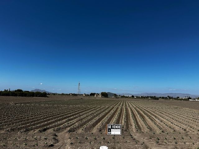 Terreno rústico en venta