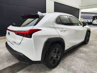 LEXUS UX 2.0 250H BUSINESS NAVIGATION