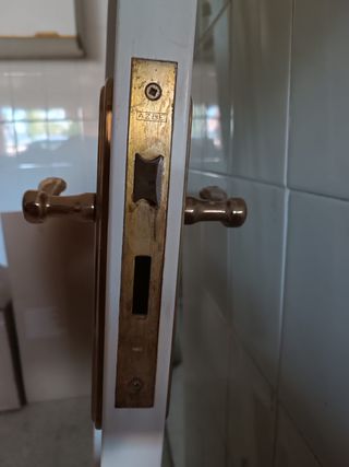Puerta interior lacada al horno 2,05m x 62cm x 4cm