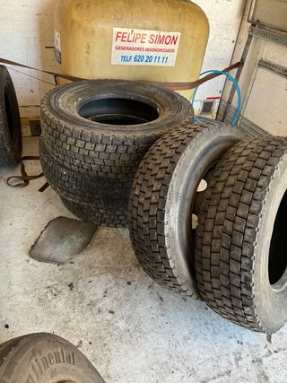 Neumáticos Camión Invierno 275/70R 19.5