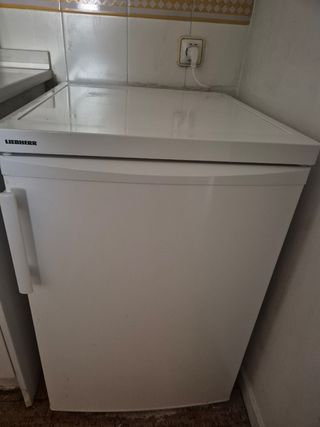 Nevera pequeña Liebherr