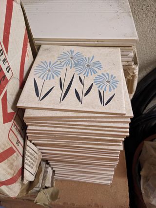 Racholas cerámicas vintage 15x15