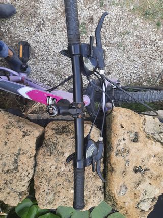 1 Bicicleta Megamo por 70€. Tiene 
