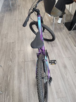 Bicicleta infantil morada