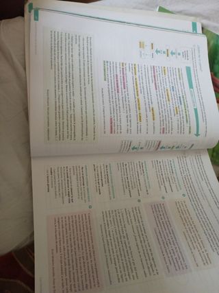 Lengua Castellana y Literatura . 4 Secundaria. ...
