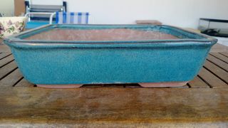 Maceta Bonsái Cerámica Teal 30x23.5x7.4cm