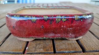 Maceta Bonsái Cerámica Roja y Dorada 12x10x3.7