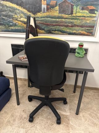 Silla giratoria de estudio/despacho