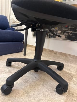 Silla giratoria de estudio/despacho