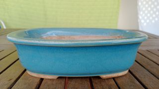 Maceta Bonsái Cerámica Azul 21.5x16.5x6