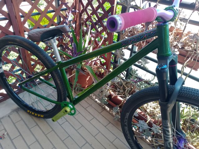 Dirtjump Lairdframe Custom