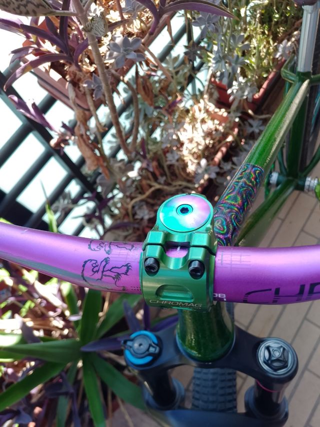 Dirtjump Lairdframe Custom