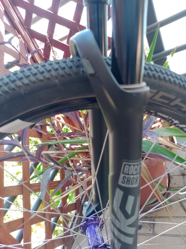 Dirtjump Lairdframe Custom