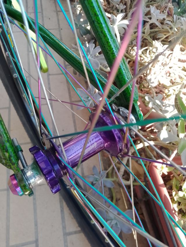 Dirtjump Lairdframe Custom