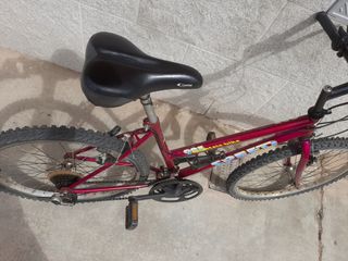 Bicicleta de 24" juvenil