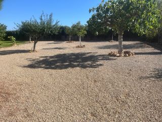 Finca Rústica Llucmajor 2950m² con Casa 90m²