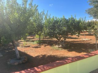 Finca Rústica Llucmajor 2950m² con Casa 90m²