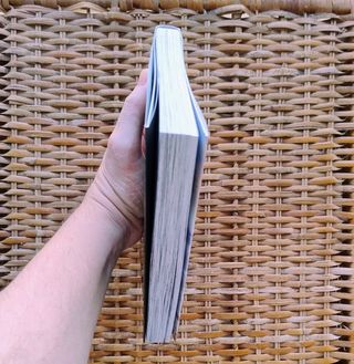 El polluelo dormido en la orilla del mar