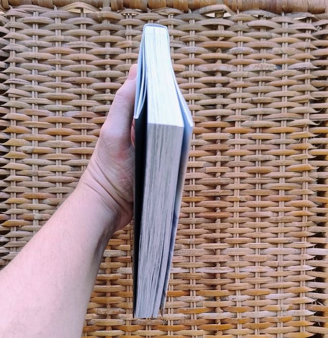 El polluelo dormido en la orilla del mar