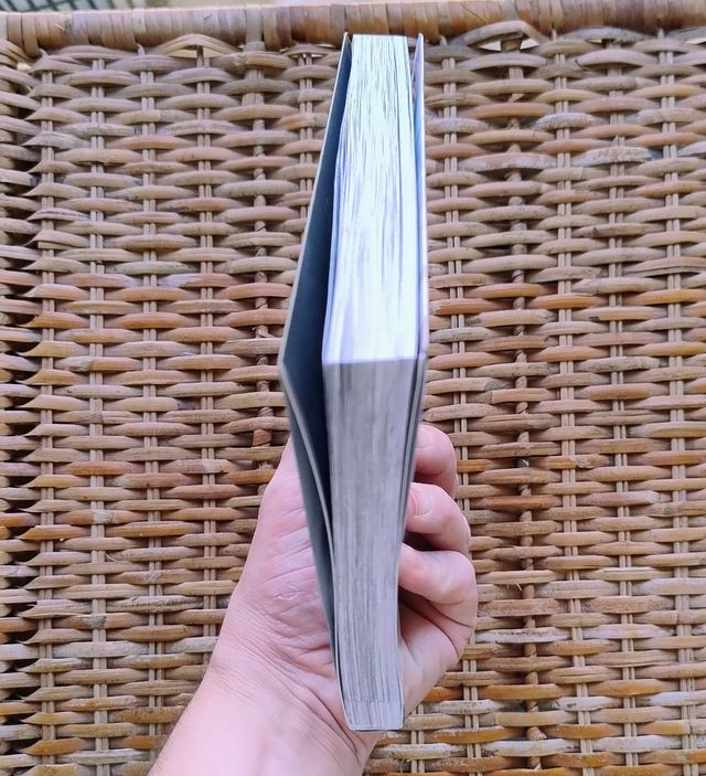 El polluelo dormido en la orilla del mar