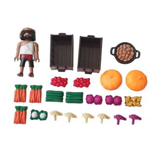 Lote agricultor Playmobil