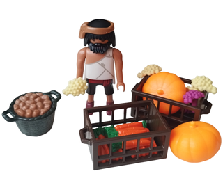 Lote agricultor Playmobil