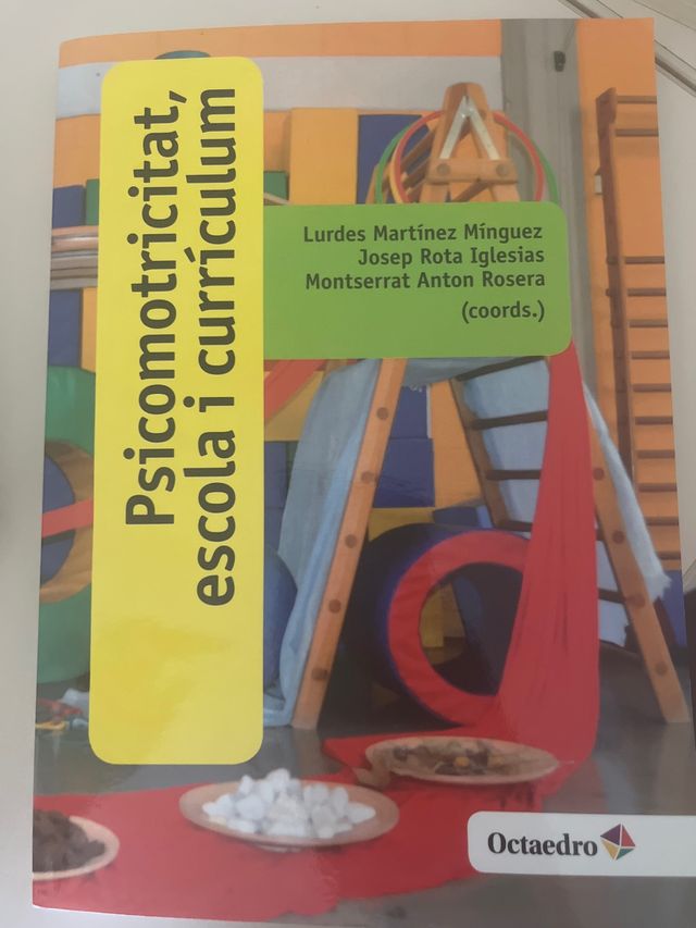Psicomotricitat, escola i currculum