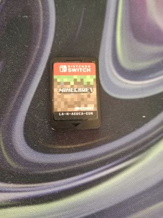 Minecraft Nintendo Switch