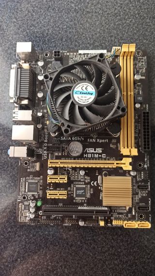 Placa base ASUS H81M-C