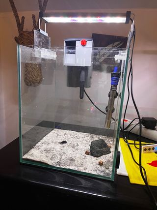 Acuario pequeño de cristal