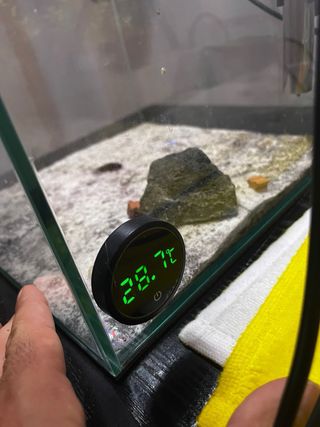 Acuario pequeño de cristal