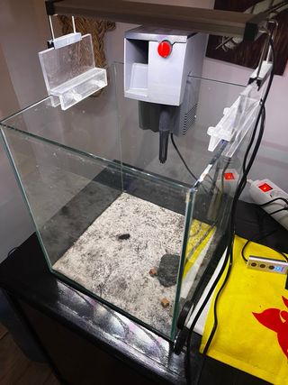 Acuario pequeño de cristal