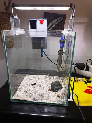 Acuario pequeño de cristal