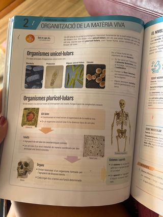 BIOLOGIA i GEOLOGIA 3