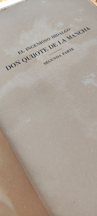 Don Quijote De La Mancha Edición Limitada n°445