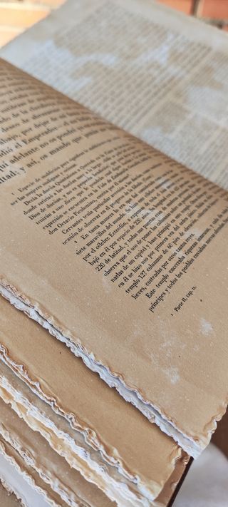 Don Quijote De La Mancha Edición Limitada n°445