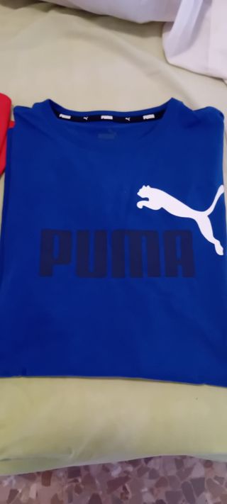 Lote de camisetas de marca para adolescente 